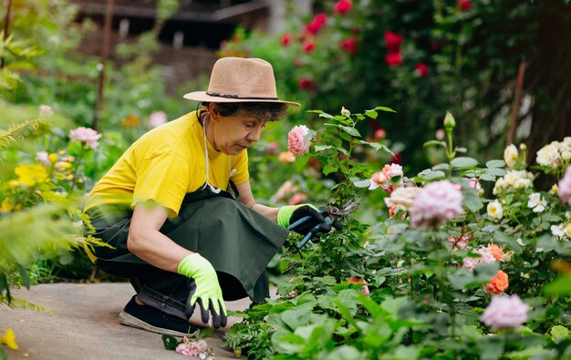 Senior woman gardener in a hat working in her yard with work tools The concept of gardening growing and caring for flowers and plants