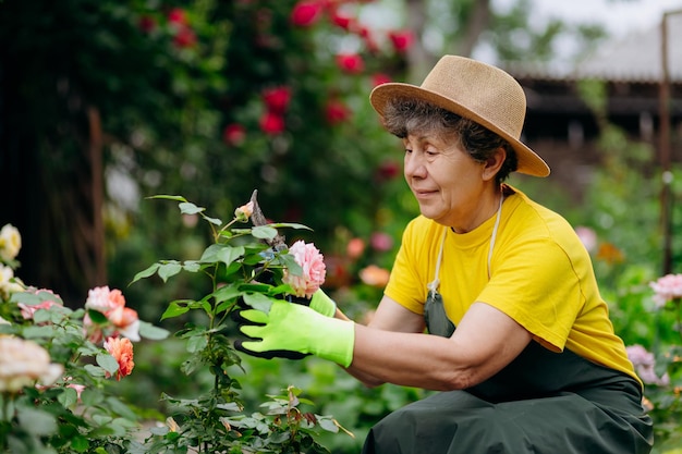 Senior woman gardener in a hat working in her yard with work tools The concept of gardening growing and caring for flowers and plants