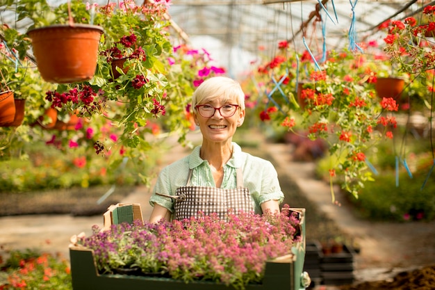 Senior woman holding basket full of flowers