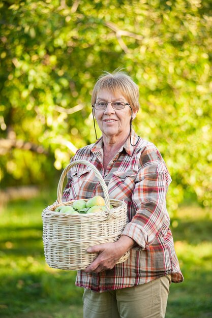 Senior woman holding wicker basket with green apples.