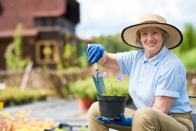 Senior woman planting flowers