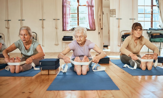 Senior yoga stretching and leg band for wellness training and exercise for health and gym wellness Elderly workout and yoga class with pilates in a retirement fitness healthcare studio together