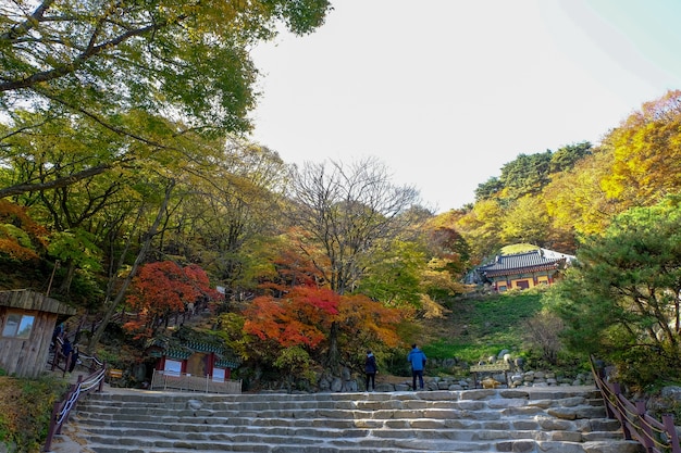 Seokguram Grotto world heritage in Gyeongju,South Korea