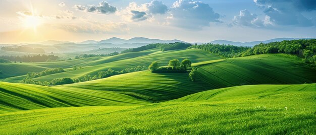 Serene 8K UHD image of a rolling countryside landscape with green fields and a blue sky perfect for pastoral themes