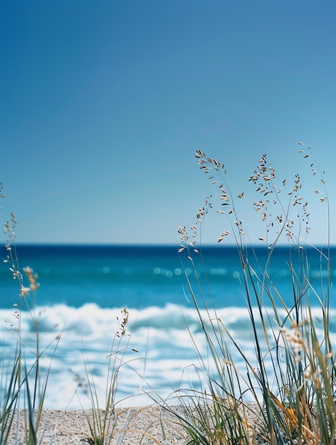 Photo serene coastal beach with ocean waves and dune grass