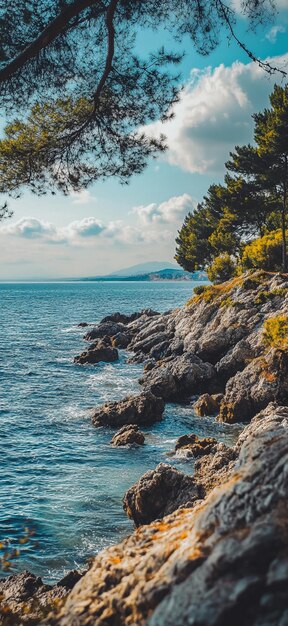 Serene Coastal Landscape with Rocky Shoreline and Lush Greenery