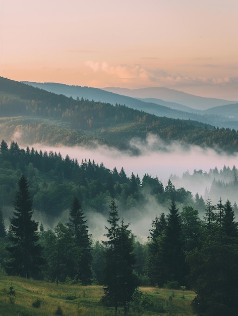 Photo serene mountain landscape at sunrise with misty forests