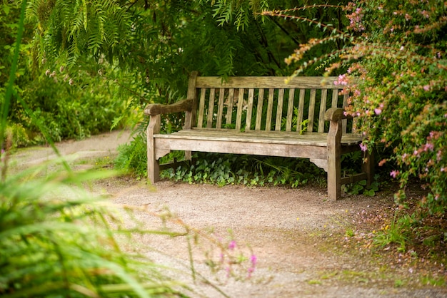 Photo serene park bench in green garden landscape surrounded by lush plant life