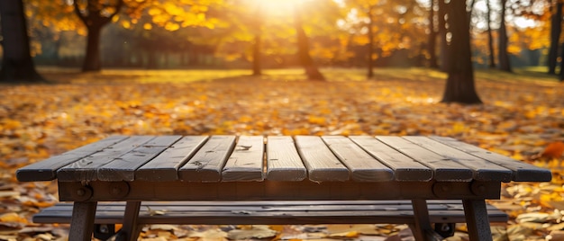 A serene park at sunrisea wooden bench under golden rays of sunlightoutdoor concept