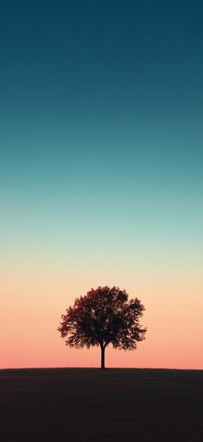 Photo serene sunset silhouette of a lone tree against a gradient sky