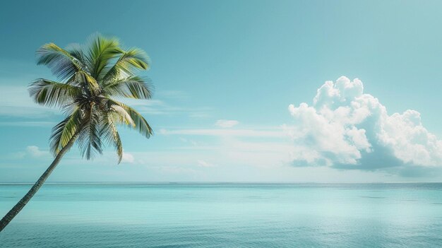 Serene Tropical Palm Tree on Blue Lagoon