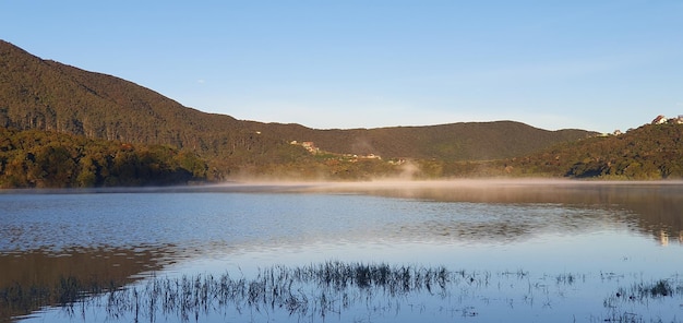 Serene Waterscapes A Majestic Symphony of a Lake in Full Bloom