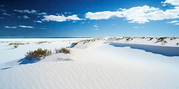 Serene White Sand Beach with Clear Blue Sky