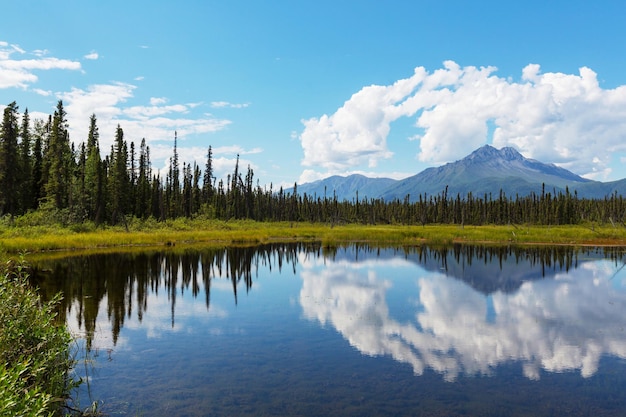 Serenity lake in Alaskan tundra