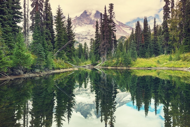 Serenity lake in the mountains