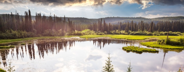 Serenity lake in tundra in Alaska