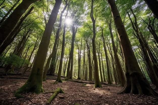 The serenity of a tranquil forest scene from a low angle perspective Generative AI