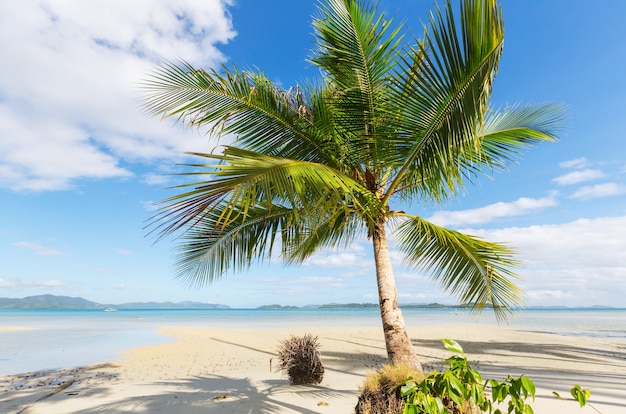 Serenity tropical beach