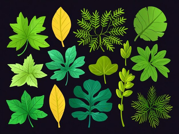 a series of plants with leaves and leaves