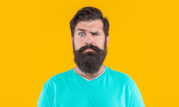 Serious bearded man portrait isolated on yellow bearded man portrait in studio bearded man