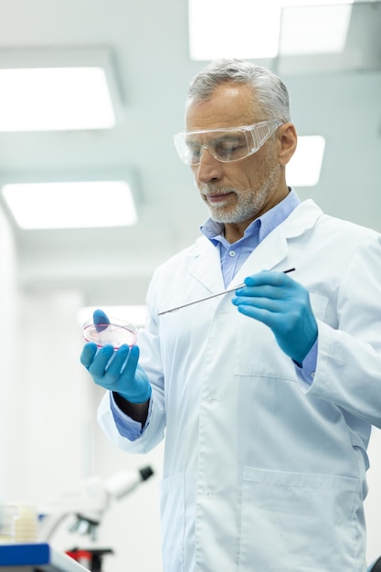 Serious mature male person looking at petri dish