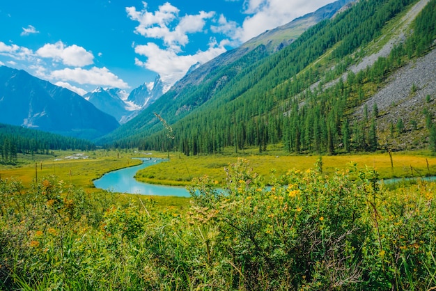 Serpentine river in valley before beautiful glacier. Snowy rocks behind mountains with conifer forest. Huge clouds on giant snowy mountain top under blue sky. Atmospheric landscape of highland nature.