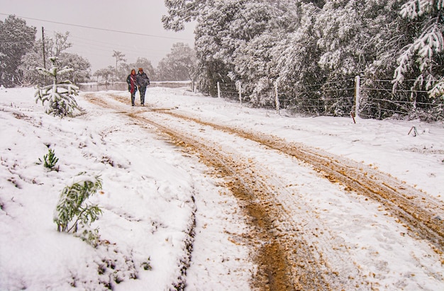 Serra de Santa Catarina, southern region of Brazil, one of the biggest snow phenomena ever seen in its entire history.