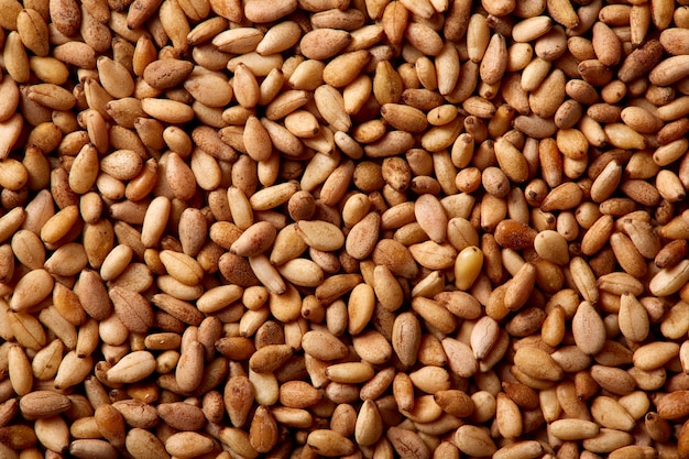 Sesame seeds texture macro detail