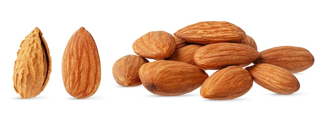 Set of almond nuts isolated on white background with clipping path