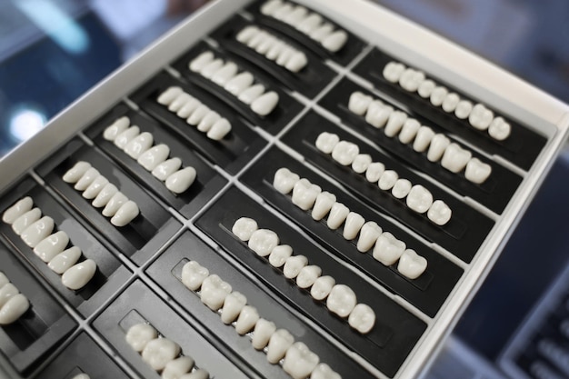 Set of artificial teeth on stand