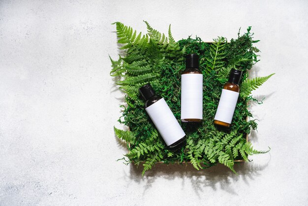 Set of beauty products in gift box with moss and fern on white concrete background, top view