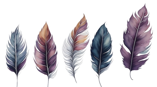 Set of bird feathers on transparent background ai generated