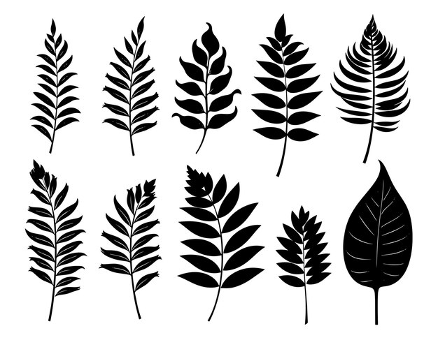 A set of black and white illustrations of leaves and plants.