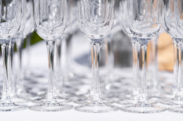 Set of blank empty wine glasses displayed in rows. Preparation for the holiday.