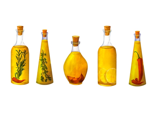 Set of bottles of flavored olive oil with spices herbs hot chili pepper garlic lemon thyme and rosemary isolated on white background