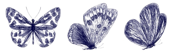 Set of butterflies drawn with a blue pen isolated on a white