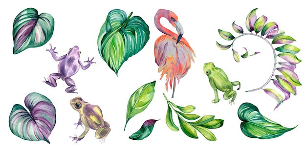 Set of colorful leaves frogs watercolor illustration