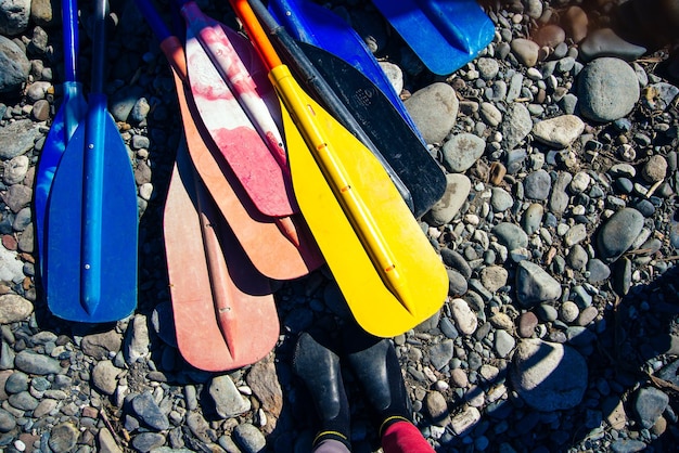 Set of colorful oar and paddles of kayak and canoe sport on the ground