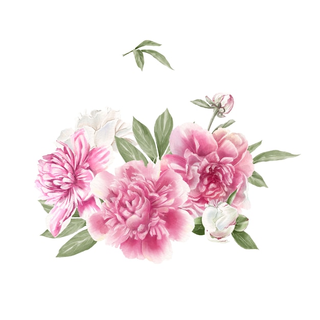 Set of delicate red and white peonies Watercolor illustration