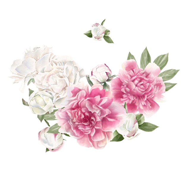 Set of delicate red and white peonies Watercolor illustration