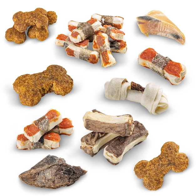 Set of different dog treats