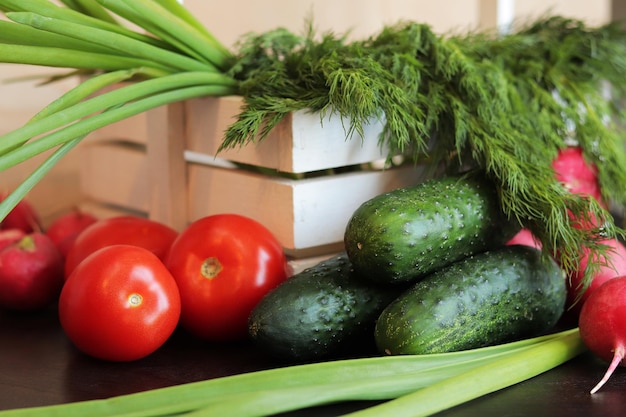 Set of different fresh vegetables closeup Cucumbers tomatoes radishes green onions and dill