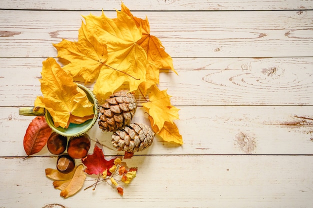 A set of fall materials for children's creativity and crafts on a wooden table. orange fallen autumn maple leaves and seeds, cedar cones, twigs and red chestnuts