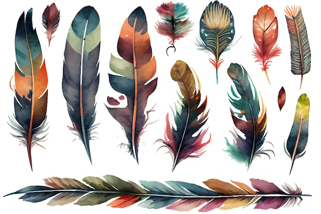 A set of feathers with different colors.