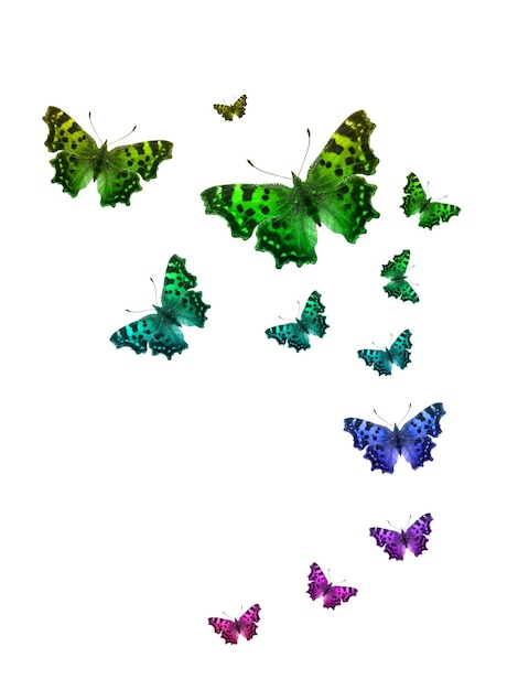 Set of flying tropical butterflies isolated on a white background