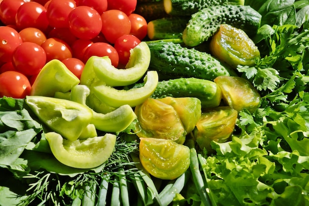 The set of the fresh vegetables and greens Cucumbers sweet peppers cherry tomatoes and herbs