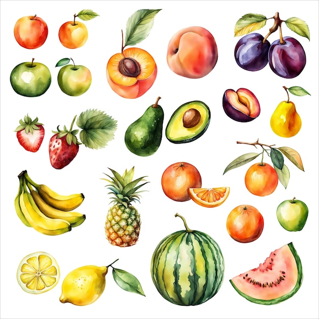 Photo set of fruits watercolour clip art collection isolated hand drawn fresh organic juicy fruit vegan