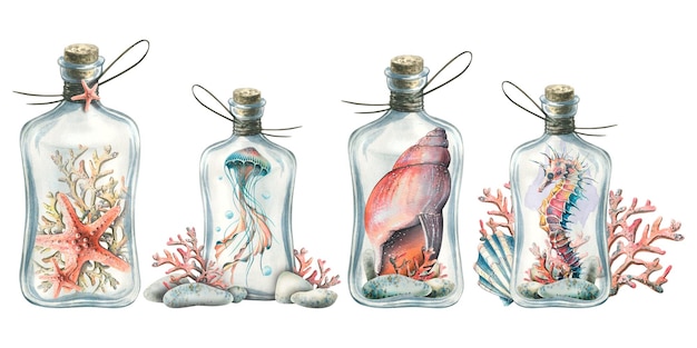 A set of glass jars with starfish seahorses shells jellyfish and corals Watercolor illustration Compositions from a large set of JELLYFISH AND SEAHORSE For decoration and design of the beach