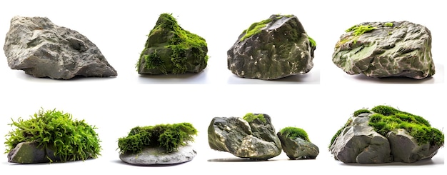 Set of green rocks with moss on it