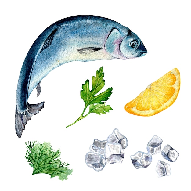 Set of herring and spices watercolor illustration isolated on white background